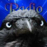 Der Rabe